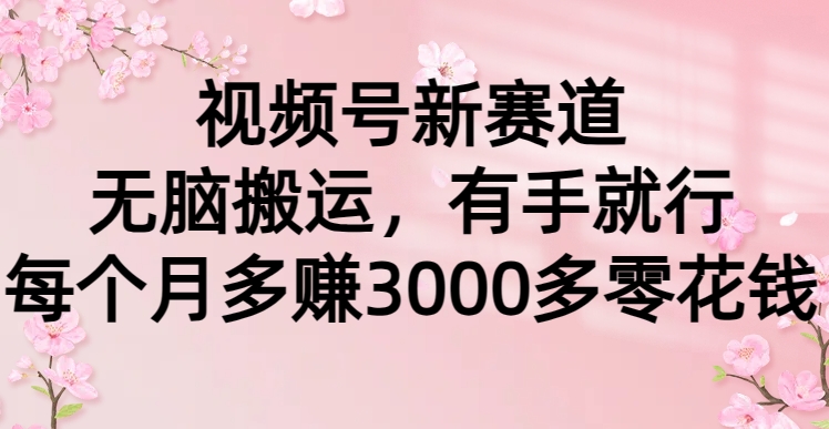 视频号新赛道，无脑搬运，有手就行，每个月多赚3000多零花钱-玖儿的学习笔记