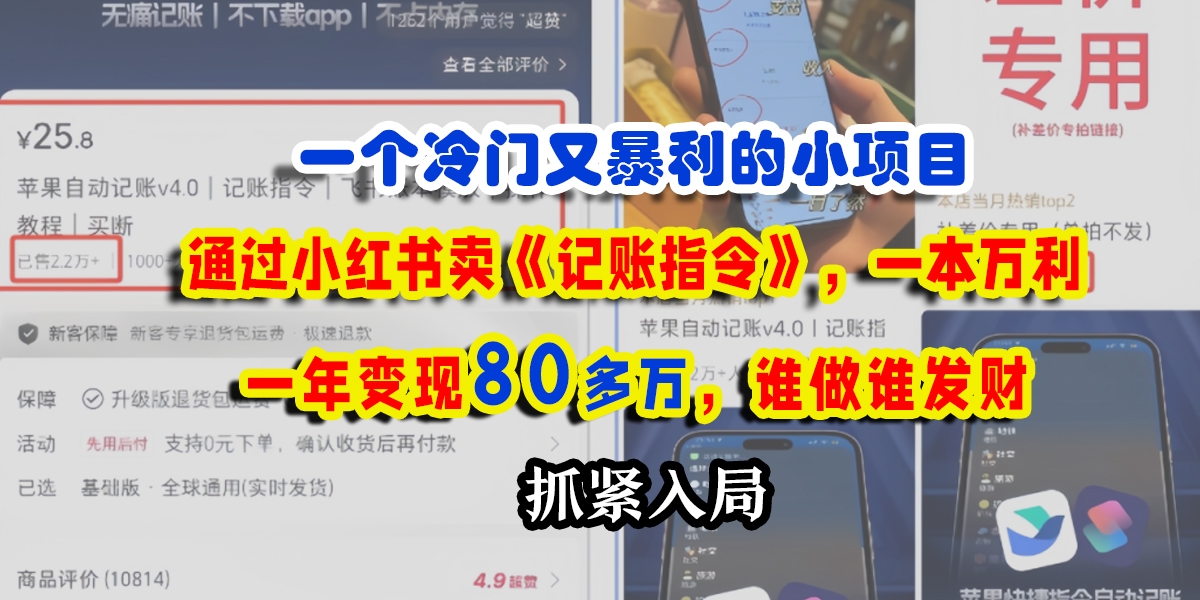 一个冷门又暴利的小项目，通过小红书卖《记账指令》，一本万利，一年变现80多万，谁做谁发财-玖儿的学习笔记