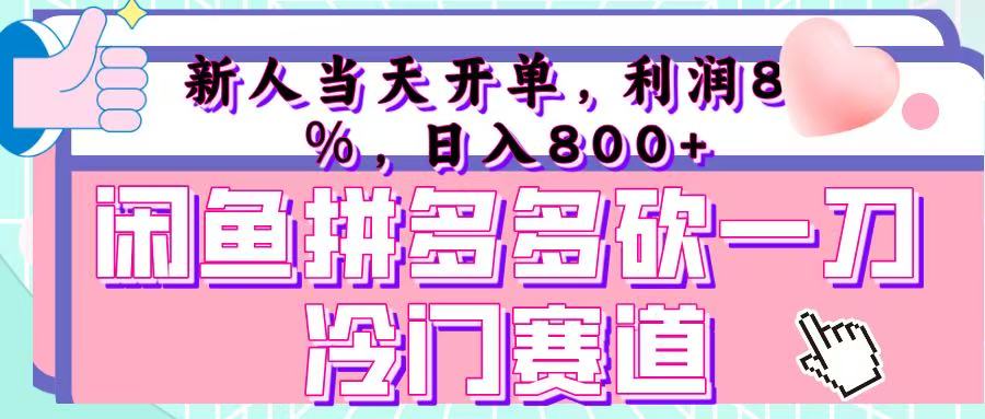 咸鱼拼夕夕砍一刀冷门暴力赛道，新人当天开单，利润百分之八十，日入 800+-玖儿的学习笔记