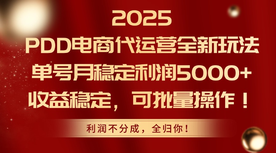 2025 PDD电商代运营全新玩法，单号月稳定利润5000+，收益稳定，可批量操作！-玖儿的学习笔记