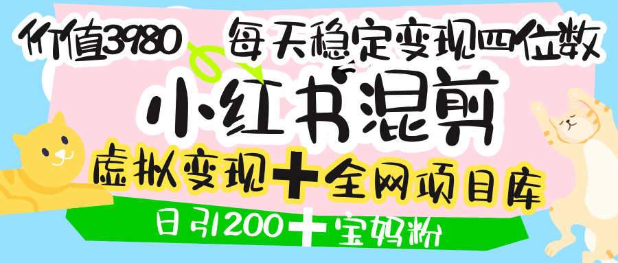 价值3980的小红书混剪， 虚拟变现 ＋全网项目库 ， 日引200+宝妈创业粉，每天稳定四位数变现-玖儿的学习笔记