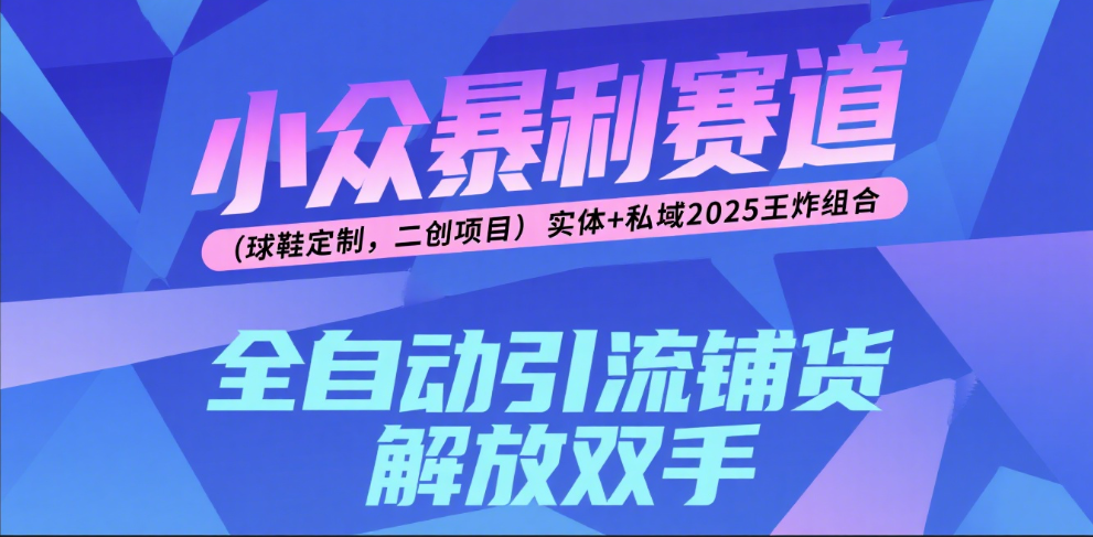 楠—小众暴利赛道（球鞋定制，二创项目）实体+私域2025王炸组合-玖儿的学习笔记