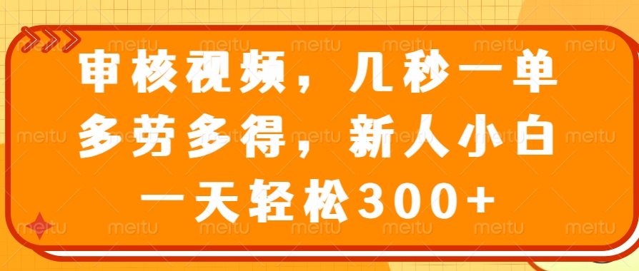 视频审核员，几秒一单，多劳多得，新人小白一天轻松300+-玖儿的学习笔记