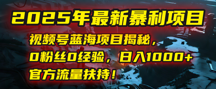 2025年最新暴利项目：视频号蓝海项目揭秘，0粉丝0经验，日入1000+，官方流量扶持！-玖儿的学习笔记