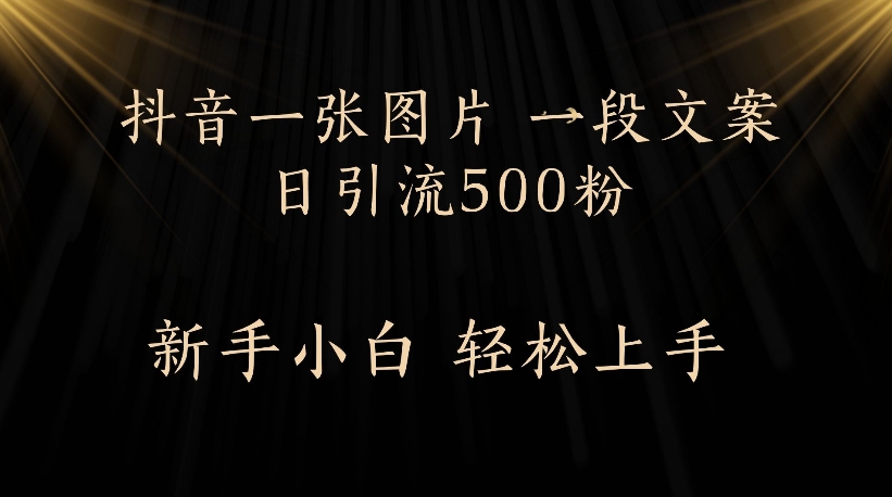 抖音一张图片，一段文案日引流500粉，新手小白 轻松上手-玖儿的学习笔记
