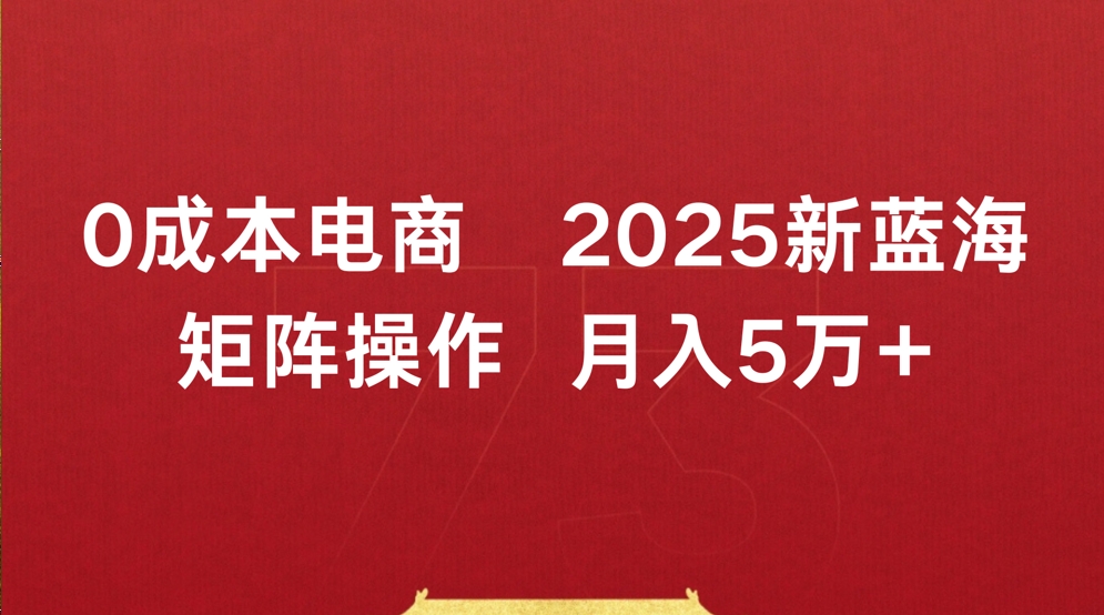 0成本电商2025新蓝海矩阵操作 月入5万+-玖儿的学习笔记