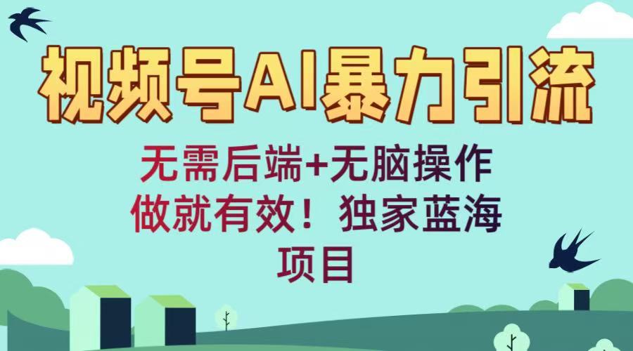 视频号AI暴力引流：无需后端+无脑操作，做就有效！独家蓝海项目-玖儿的学习笔记
