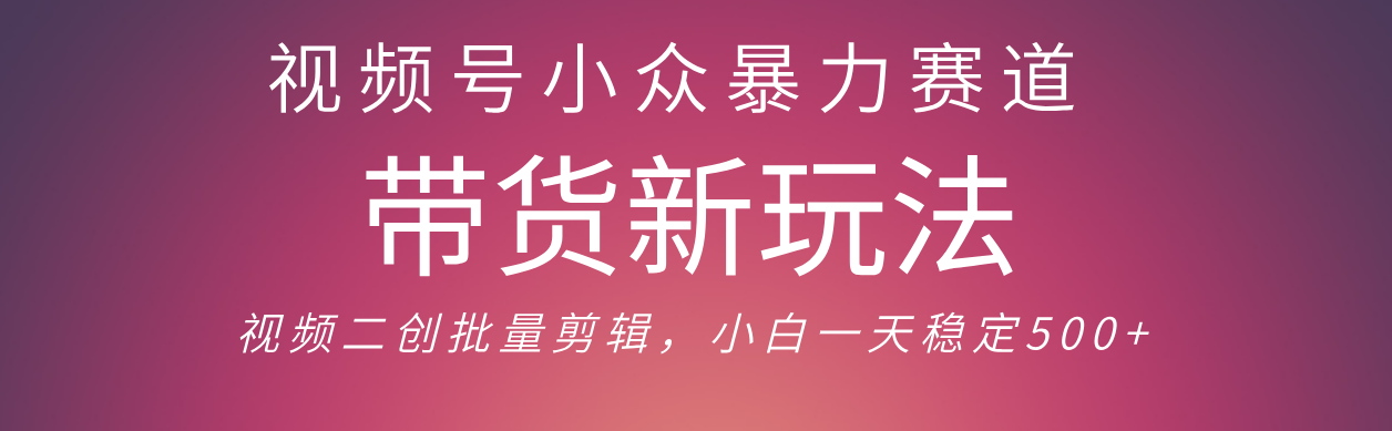 视频号小众暴力赛道，最新带货玩法 小白也能轻松日入500+ 保姆及教程-玖儿的学习笔记
