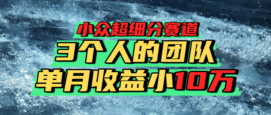 小众超细分赛道，一年百万利润的盘子！-玖儿的学习笔记