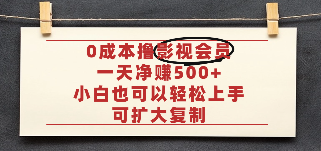亲测,0成本可批量操作,靠卖影视会员实测月入30000+-玖儿的学习笔记