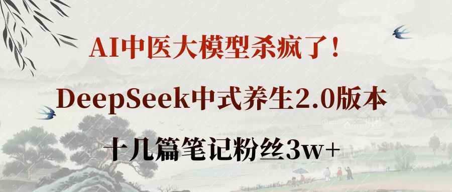 AI中医大模型杀疯了!DeepSeek中式养生2.0版本,十几篇笔记粉丝3w+-玖儿的学习笔记