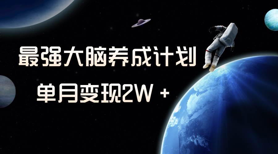 冷门虚拟项目揭秘！最强大脑养成计划，一个月变现2W+！-玖儿的学习笔记