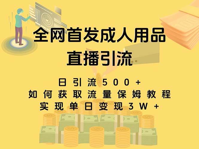 最新全网独创首发，成人用品直播引流获客暴力玩法，单日变现3w保姆级教程-玖儿的学习笔记