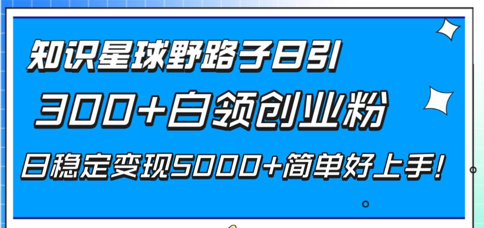 知识星球野路子揭秘！白领创业粉日稳定变现5000，一天引流300！-玖儿的学习笔记