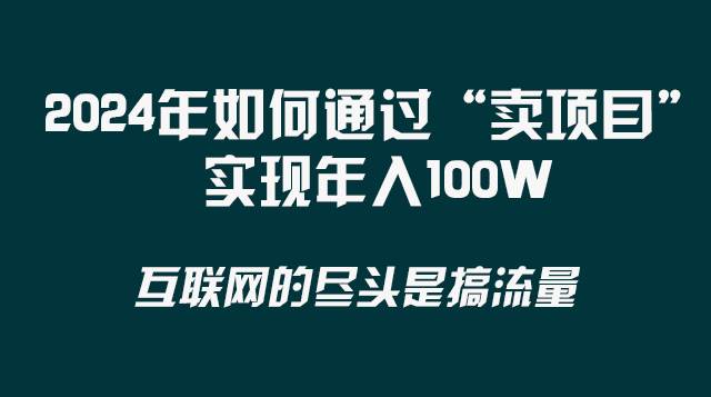 2024年热门赚钱秘籍：卖项目，年入100W！揭秘互联网创业的可行性和财务自由！-玖儿的学习笔记