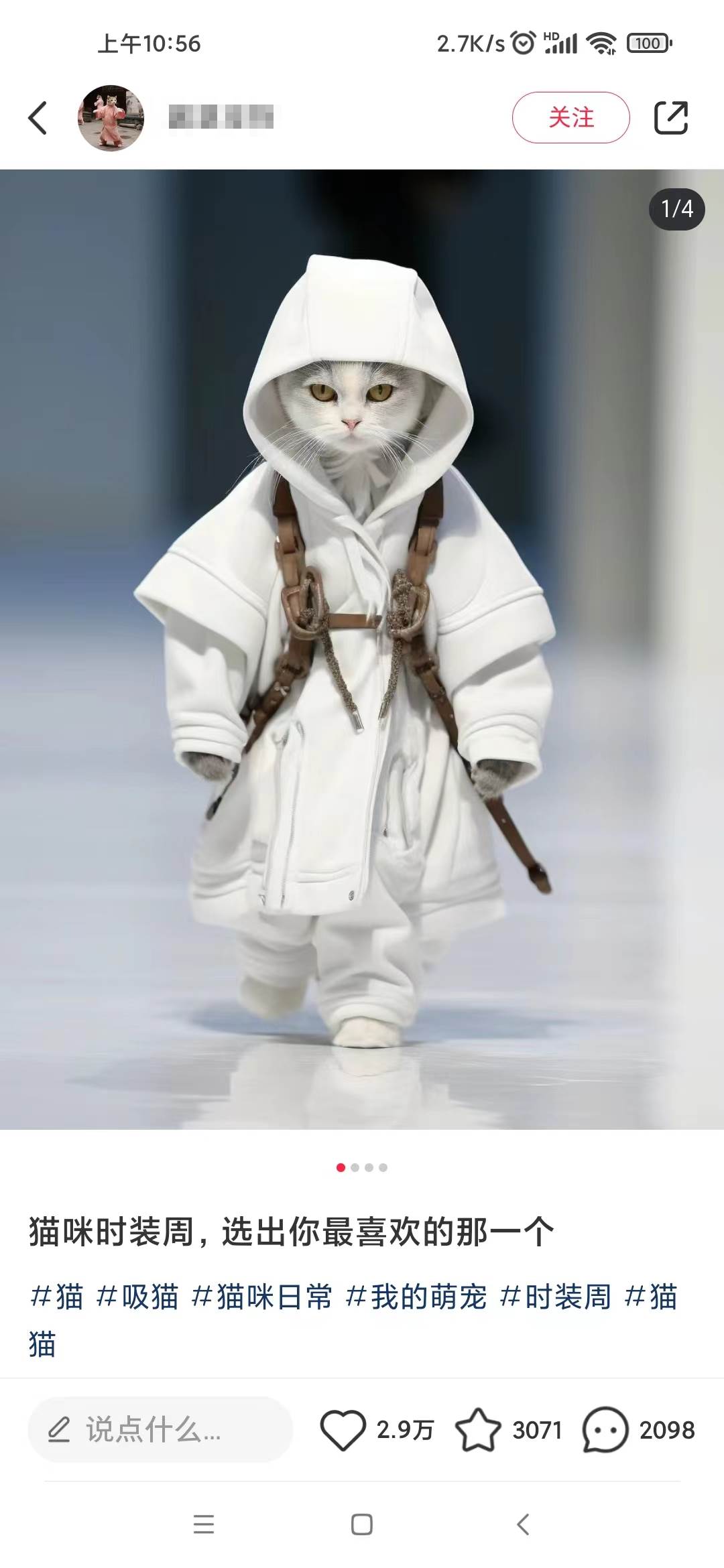 图片[2]-【小红书动物秀】最新爆款项目，7天变现1w！赶快加入这个暴利赛道！-玖儿的学习笔记