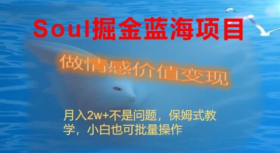 【Soul掘金蓝海项目】做情感价值变现，月入2w不是问题！-玖儿的学习笔记