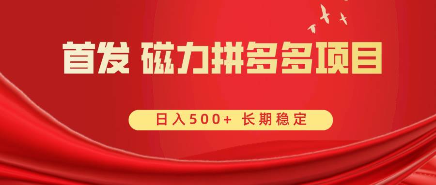 首发 磁力拼多多自撸  日入500-玖儿的学习笔记