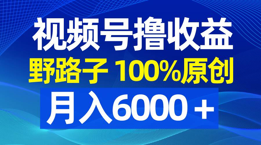 视频号野路子撸收益，100%原创爆款，月入6000＋！项目实操+变现方式揭秘-玖儿的学习笔记