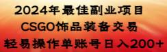 【2024最佳副业】CSGO饰品装备交易，轻松日入200+！不需要打游戏，简单操作，轻松兼职！-玖儿的学习笔记