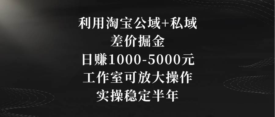 利用淘宝公域+私域差价掘金，日赚1000-5000元，工作室可放大操作，实操…-玖儿的学习笔记