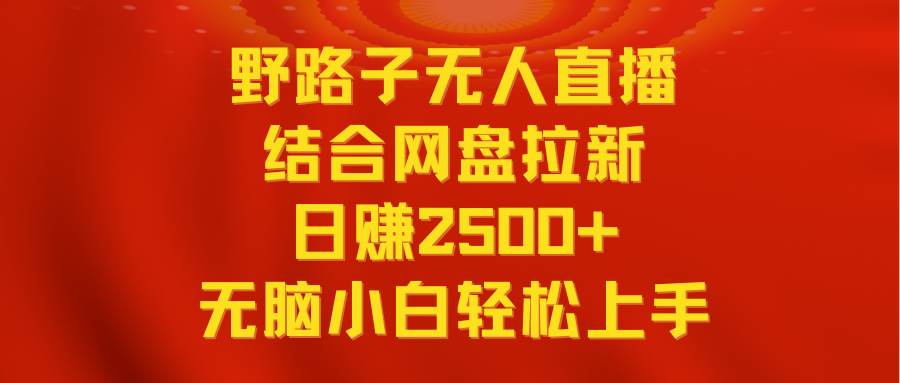 无人直播野路子结合网盘拉新！日赚2500+多平台变现，小白无脑轻松上手操作！-玖儿的学习笔记