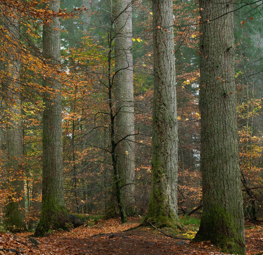 图片[6]-Alister Benn教你掌握表现力风光后期技巧，快速实现独特照片-玖儿的学习笔记
