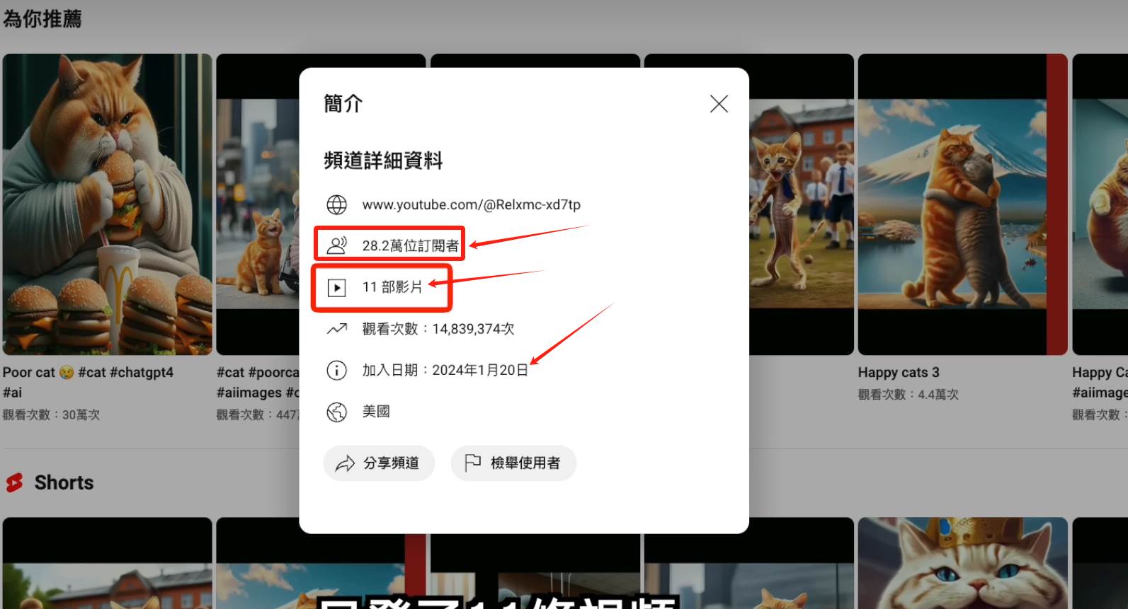 图片[2]-AI貓咪剧情号，30天涨粉100w！一个视频全网分发，轻松月入1W+！-玖儿的学习笔记