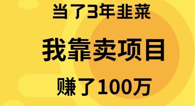 揭秘卖项目赚百万的实操经验！3年韭菜成长路，网赚大佬分享的全流程课程！-玖儿的学习笔记