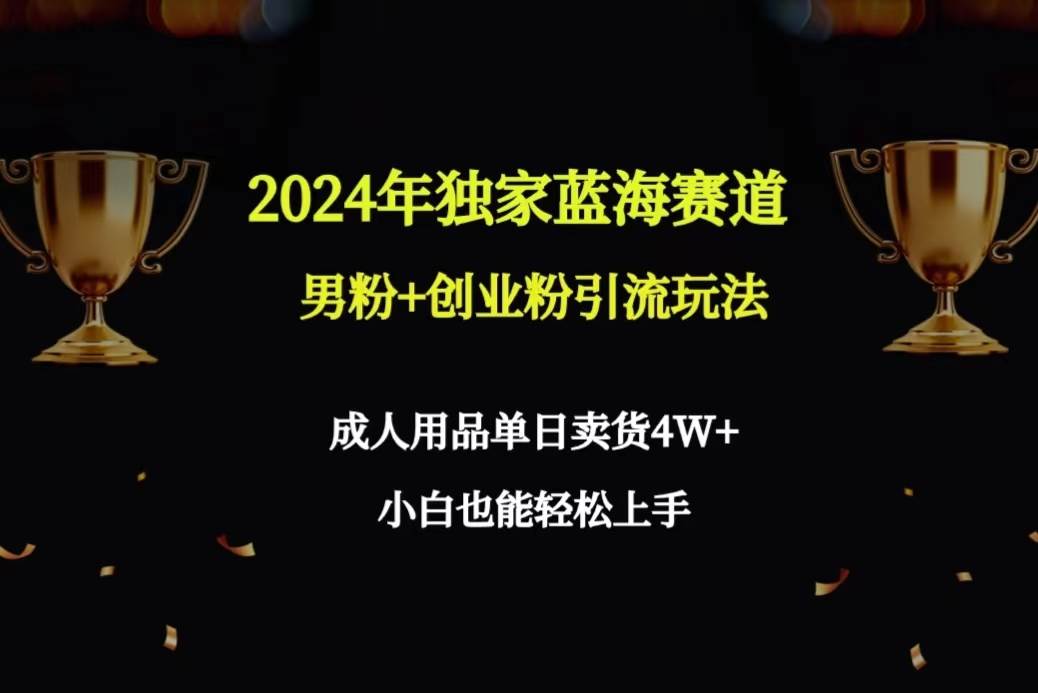 2024年独家蓝海赛道男粉+创业粉引流玩法！成人用品单日卖货4W+！保姆教程！-玖儿的学习笔记
