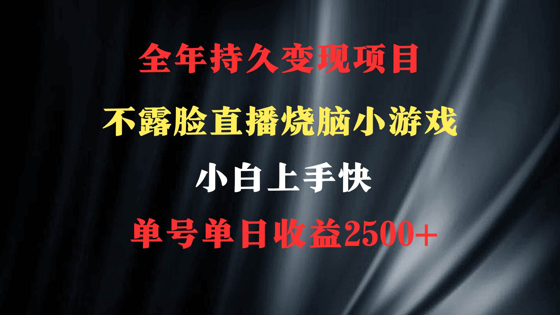 2024年最优的副业项目：烧脑游戏直播，每天收益2500+，无需上镜不露脸！-玖儿的学习笔记
