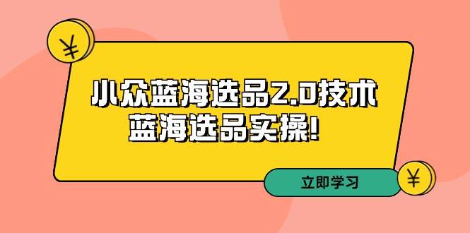 拼多多培训第33期：小众蓝海选品2.0技术揭秘！蓝海选品实操大解析！-玖儿的学习笔记