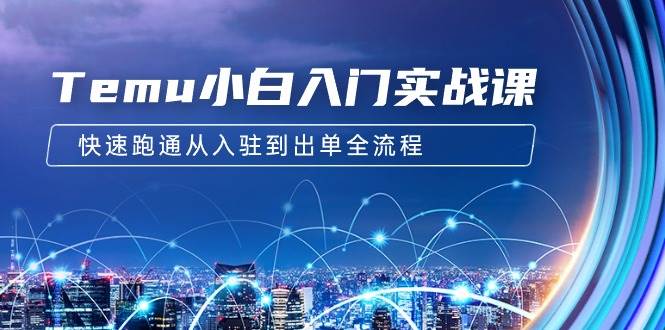 快速跑通拼多多电商全流程！Temu小白入门实战课，助你成功入驻与出单-12节课-玖儿的学习笔记
