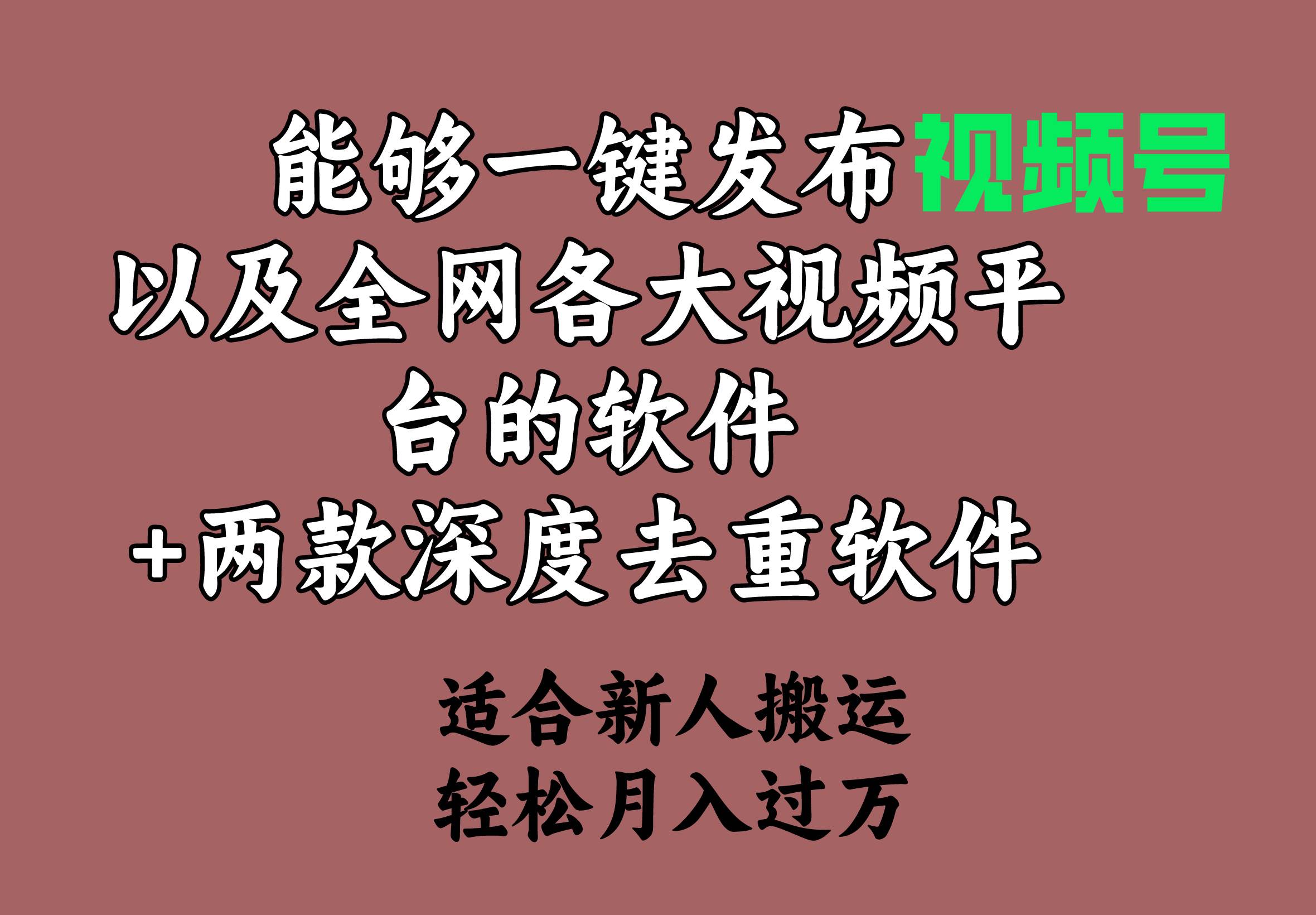 一键发布视频号+深度去重软件，多平台扩散，轻松增加收益！-玖儿的学习笔记