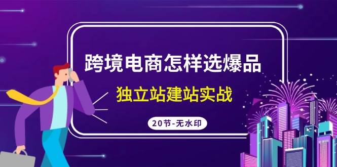 跨境电商选爆品必备，独立站建站实战20节课，教你选品、建站、装修、支付收款等技巧！-玖儿的学习笔记