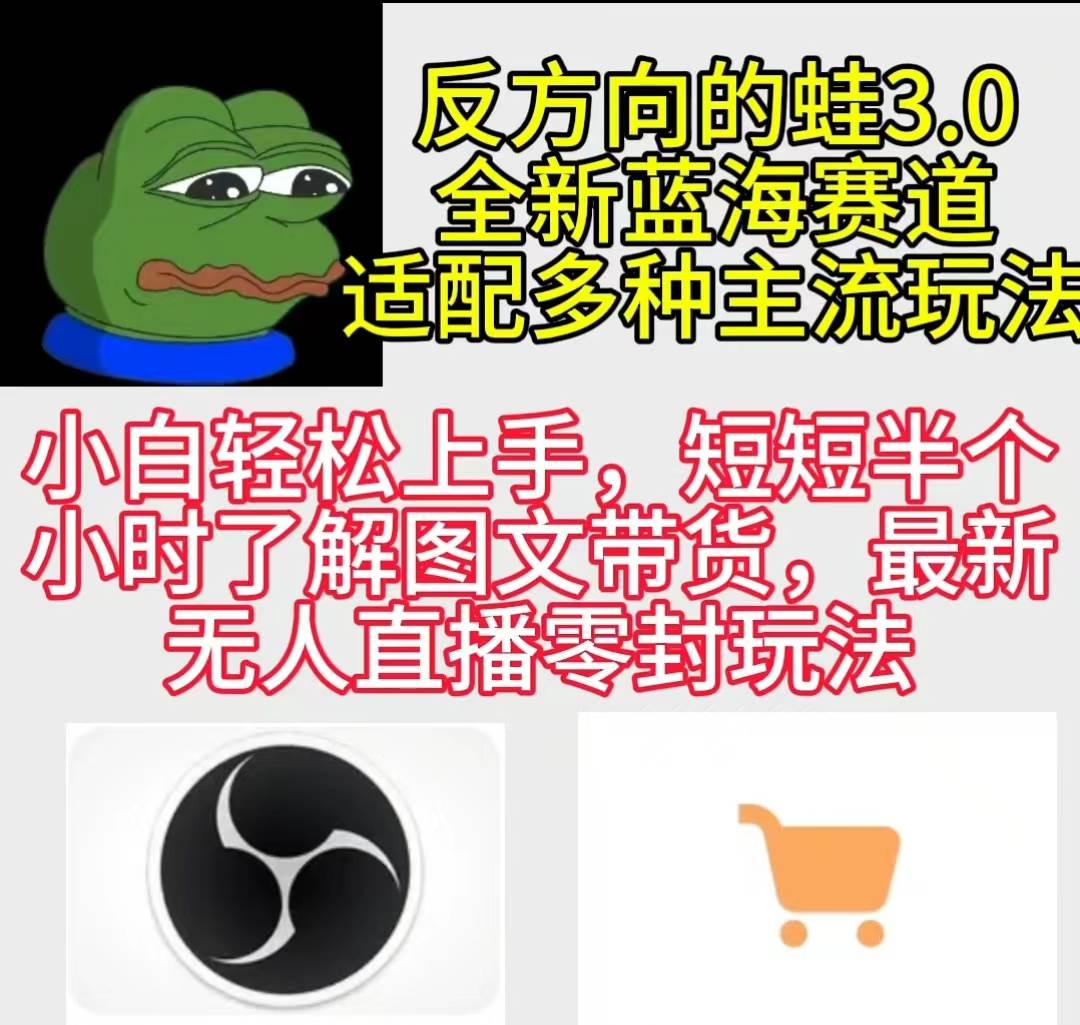 反方向的蛙3.0，图文最新玩法揭秘！多元变现打造新蓝海项目，轻松上手，小白也能成功！-玖儿的学习笔记