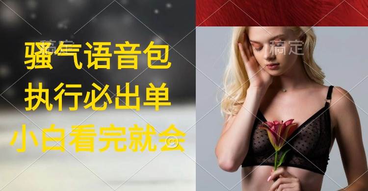 2024最新超火骚气语音包项目，执行就出单，日入2000+！小白看完课程即可实操！-玖儿的学习笔记