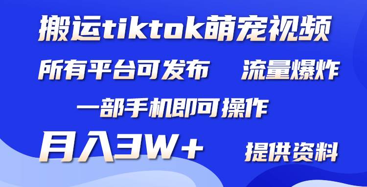 搬运Tiktok萌宠类视频，一部手机即可！所有短视频平台均可操作，月入3W+的秘籍揭秘！-玖儿的学习笔记