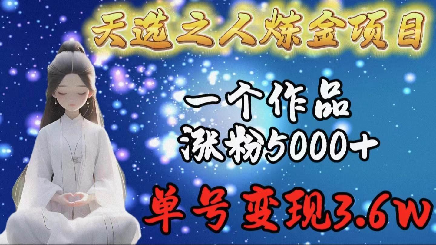 天选之人炼金项目：一个作品涨粉5000+，单号变现3.6w！赚钱攻略揭秘！-玖儿的学习笔记