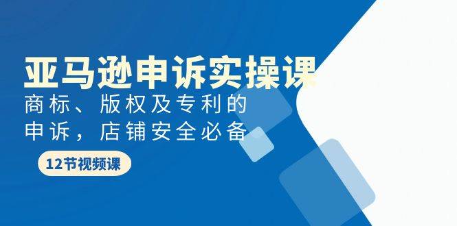【亚马逊申诉实战课】商标版权专利申诉，店铺安全必备！案例教学带你解决侵权问题！-玖儿的学习笔记