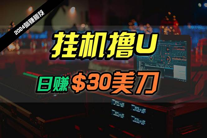 2024最新海外挂机项目：日赚30美元秘籍，全程无人值守，批量放大！-玖儿的学习笔记