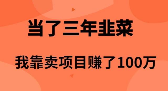 揭秘：从韭菜到百万富翁的路线图！卖项目年赚百万！-玖儿的学习笔记