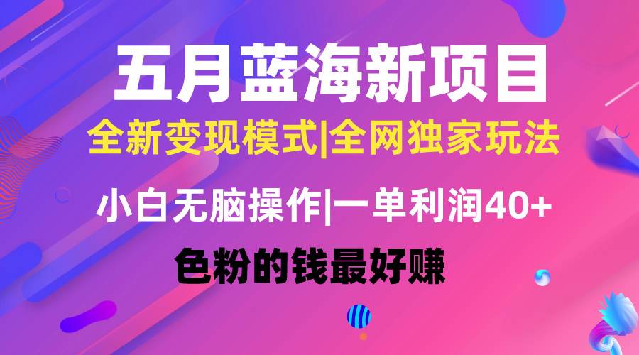 独家揭秘！2024年五月蓝海项目全新玩法，小白无脑操作，月入4万+！-玖儿的学习笔记