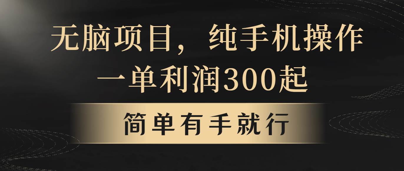 轻松月入 5w+的无脑项目，一单几百块，小白也能做！-玖儿的学习笔记