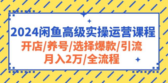 闲鱼运营秘籍：从基础到高手，月入 2 万不是梦！-玖儿的学习笔记