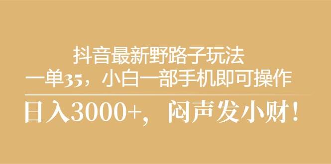 抖音野路子玩法揭秘：日入 3000+的盈利秘籍-玖儿的学习笔记