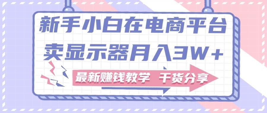 新手小白如何做到在电商平台卖显示器月入3W+，最新赚钱教学干货分享-玖儿的学习笔记