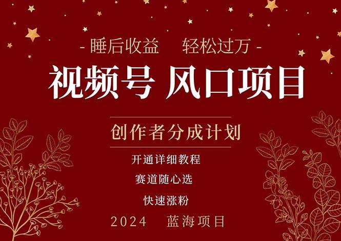 拥有睡眠收益的微信视频号大风口项目，轻松月入过万+，多赛道选择，可…-玖儿的学习笔记
