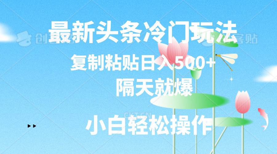 最新头条冷门玩法，隔天就爆，复制粘贴日入500+-玖儿的学习笔记