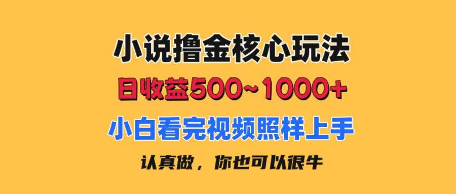 小说撸金核心玩法，日收益500-1000+，小白看完照样上手，0成本有手就行-玖儿的学习笔记